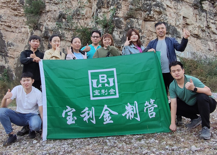 Tianjin Baoli Gold Pipe Co., Ltd